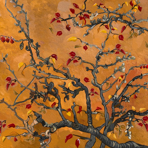 青春草视频在线
