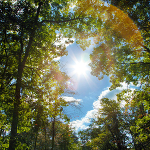 青春草视频在线

